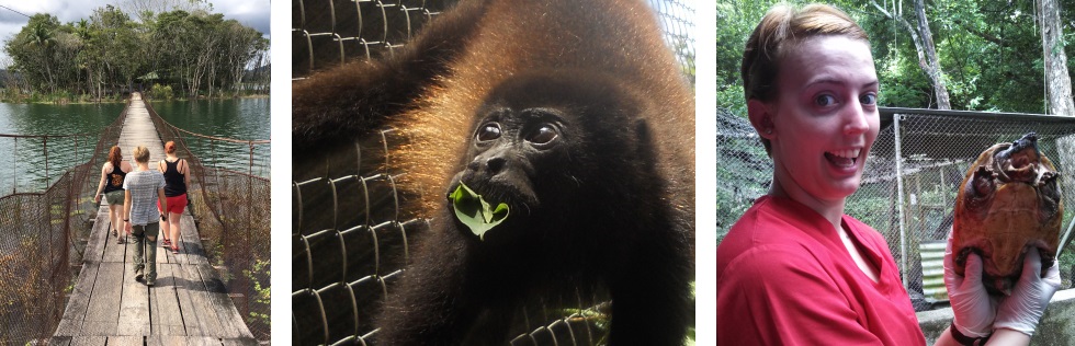 volunteer in Guatemala with animals.